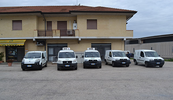 negozio furgoni