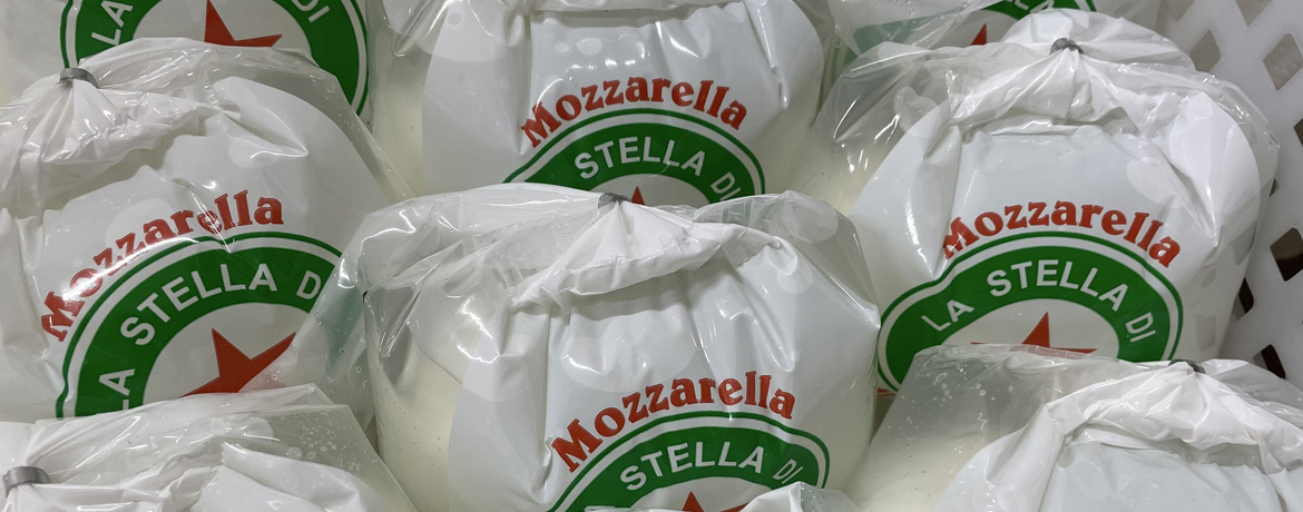lastella_2023_4