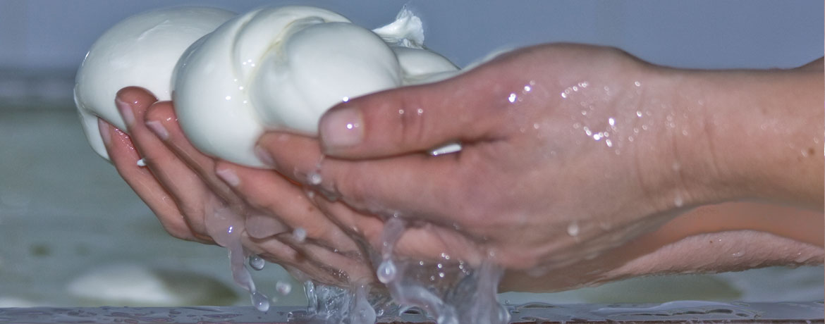 mozzarella_acqua1